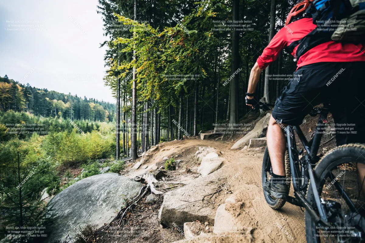 An energetic scene featuring a mountain biker navigating a rocky path through a dense forest, with sunlight filtering through the trees. The image captures the sense of adventure and proximity to nature that the surrounding area offers to visitors.