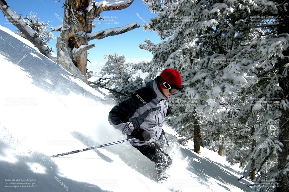 A skier glides through a pristine, snow-covered landscape bordered by evergreen trees. The white expanse stretches toward distant hills, immersing the viewer in a classic alpine winter scene. The fresh snow and open space evoke the excitement of outdoor adventure and the appeal of Anthony Lakes’ slopes.